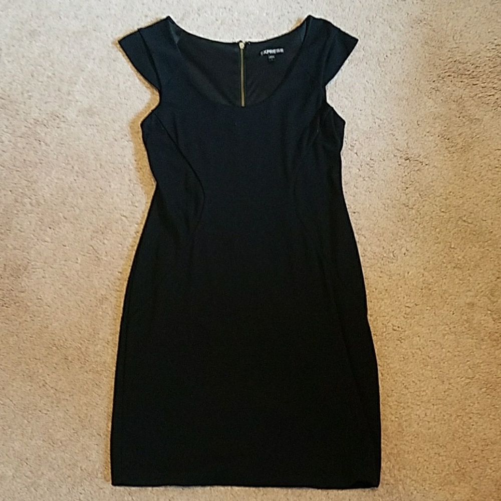 Express black full zip back dress
